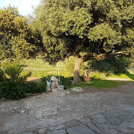 Un Charme Absolu Villa Bastelicaccia Exterior photo